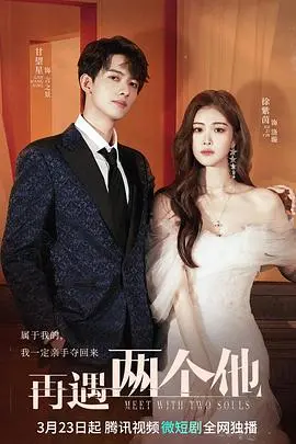 再遇两个他 海报